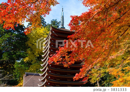 談山神社 談山神社 3831333