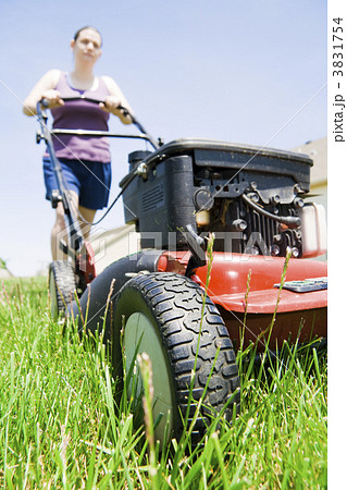 Yard work Yard work 3831754