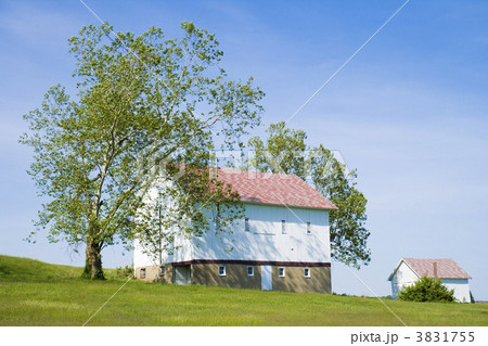 Two barns 3831755