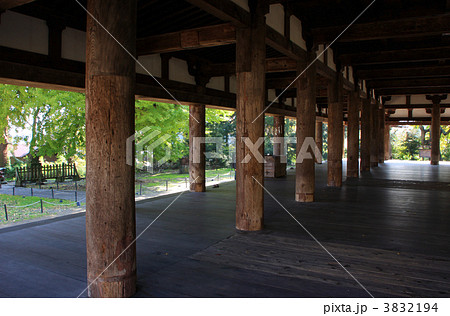 新宮熊野神社と長床（国指定重要文化財） 3832194
