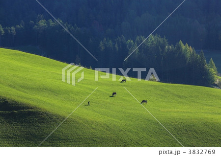 初秋のドロミテ 3832769