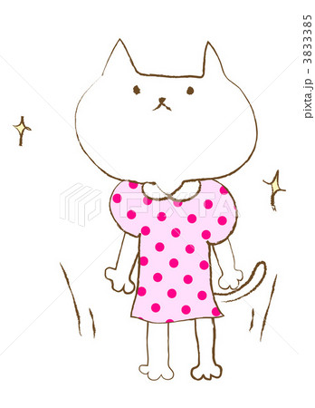 ペット関連　猫と猫用服 3833385