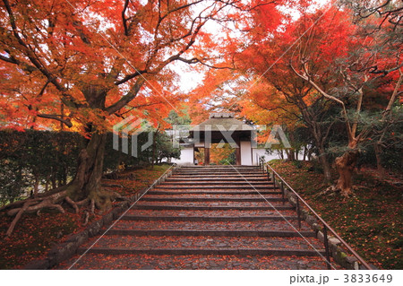 秋の安楽寺山門 秋の安楽寺山門 3833649