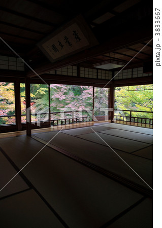 瑠璃光院の紅葉 瑠璃光院の紅葉 3833667
