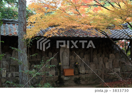 秋の蓮華寺 3833730