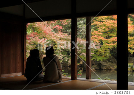 秋の蓮華寺 3833732