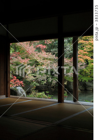 秋の蓮華寺 秋の蓮華寺 3833735