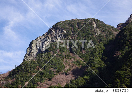 ゴリラ岩 ゴリラ岩 3833736