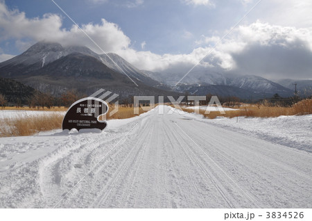 長者原の冬 3834526