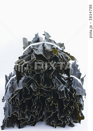 束ねた日高昆布 3834786