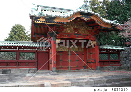 徳川将軍家安泰を祈願した寛永寺を訪れて 徳川将軍家安泰を祈願した寛永寺を訪れて 3835010