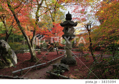 京都 嵯峨野 直指庵の秋 京都 嵯峨野 直指庵の秋 3835094