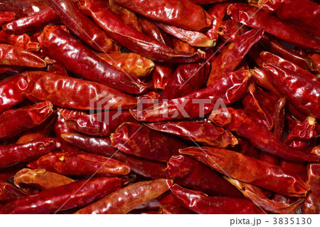 唐辛子のバックグランド 唐辛子のバックグランド 3835130