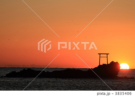 波立海岸の朝日 3835406