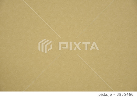背景　しわ 3835466