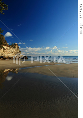豊間海岸 豊間海岸 3835693