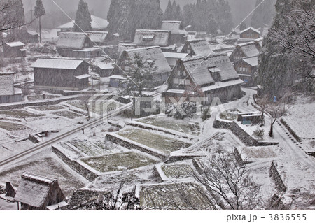 富山　五箇山 3836555