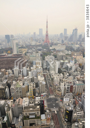 東京タワー周辺 3836643