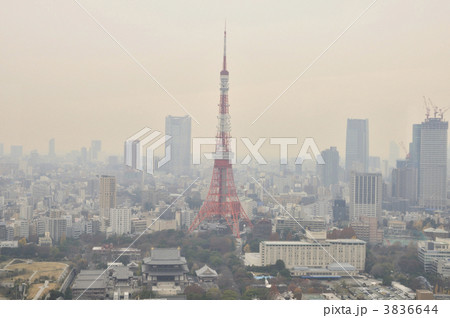 東京タワー周辺 東京タワー周辺 3836644