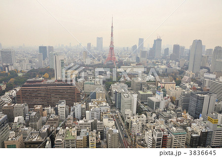 東京タワー周辺 3836645