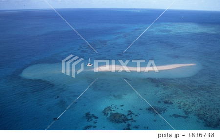 グレートバリアリーフ 3836738