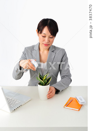 ビジネスウーマンと観葉植物 3837470