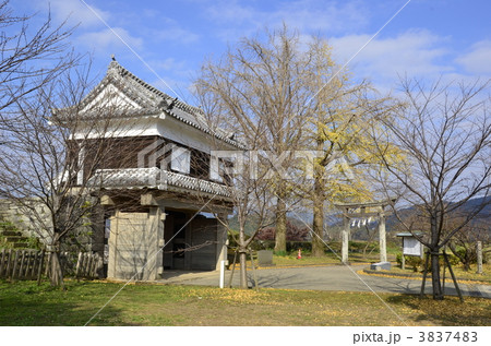 臼杵城跡 3837483