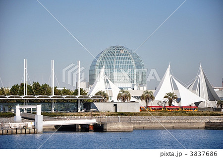 葛西臨海水族園 葛西臨海水族園 3837686