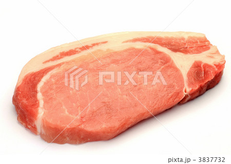豚肉 3837732