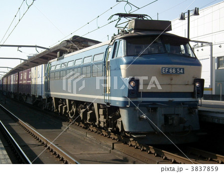 貨物列車 EF66+コンテナ 古河駅 貨物列車 EF66+コンテナ 古河駅 3837859