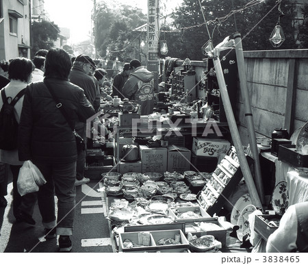 世田谷ぼろ市 3838465