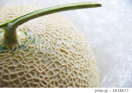 メロン メロン 3838677