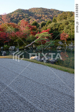 早朝の天龍寺、曹源池庭園 3838869