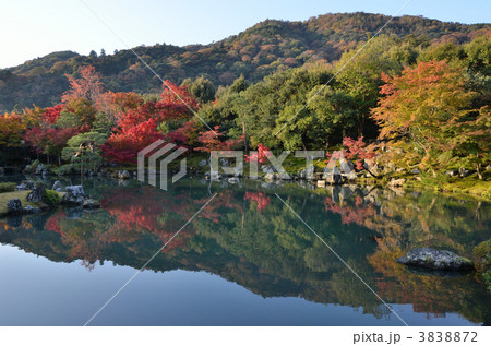 天龍寺、曹源池庭園 3838872