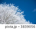 樹氷 3839056