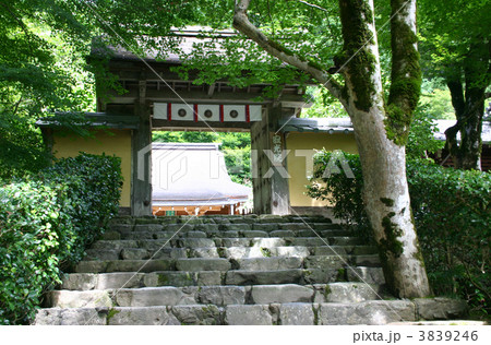 寂光院 3839246