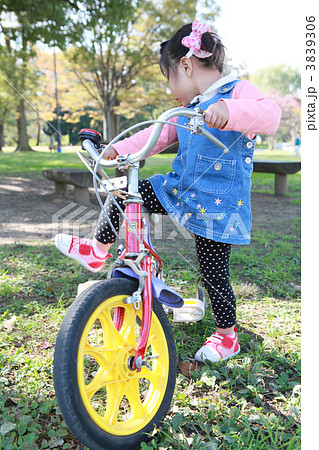 初めて乗れた自転車 初めて乗れた自転車 3839306