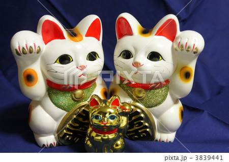 招き猫 招き猫 3839441