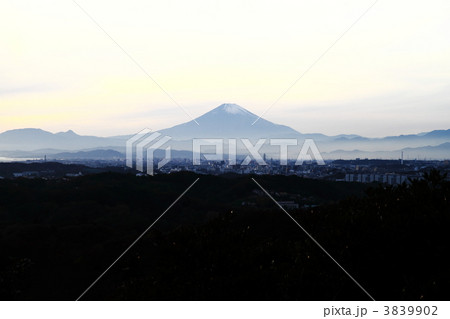勝上献展望台からの富士山 勝上献展望台からの富士山 3839902