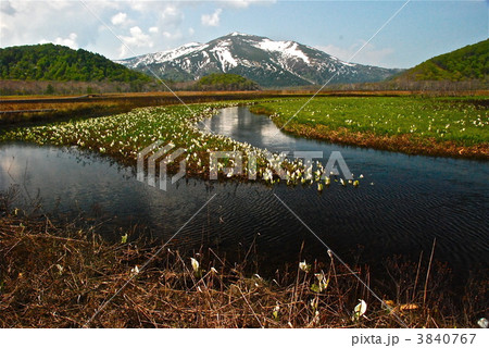 尾瀬ヶ原から至仏山を望む（尾瀬ヶ原） 3840767
