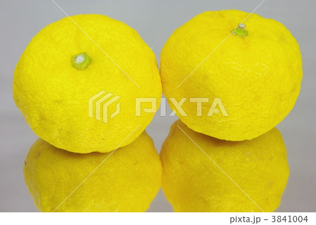 柚子 3841004