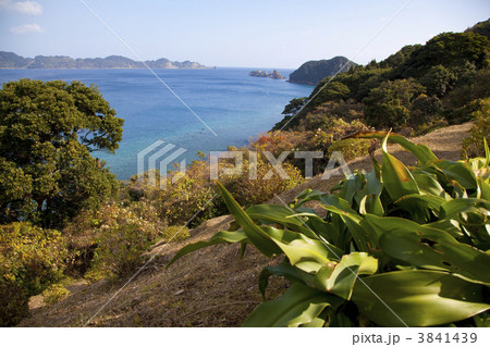 宮崎県日南市、海を見渡す高台から 宮崎県日南市、海を見渡す高台から 3841439