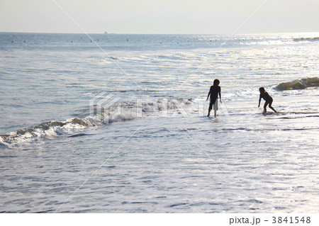 湘南海岸の波打ち際で遊ぶ少年と少女 3841548