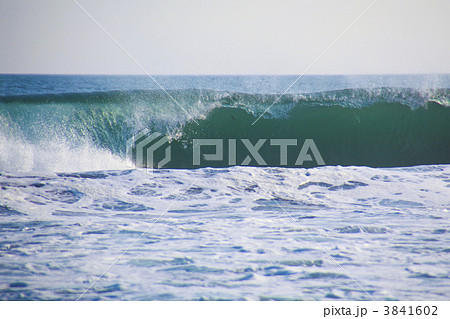 湘南海岸、夕陽に透けて立ち上がる波 3841602