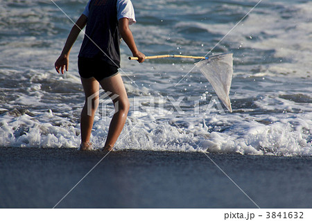 湘南海岸で遊ぶ少年 湘南海岸で遊ぶ少年 3841632