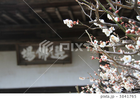 円覚寺 3841765
