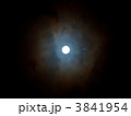 3841954