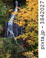 秋の龍双ヶ滝 3842027