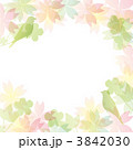 春 桜 小鳥 3842030