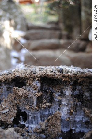 霜柱 霜柱 3842296